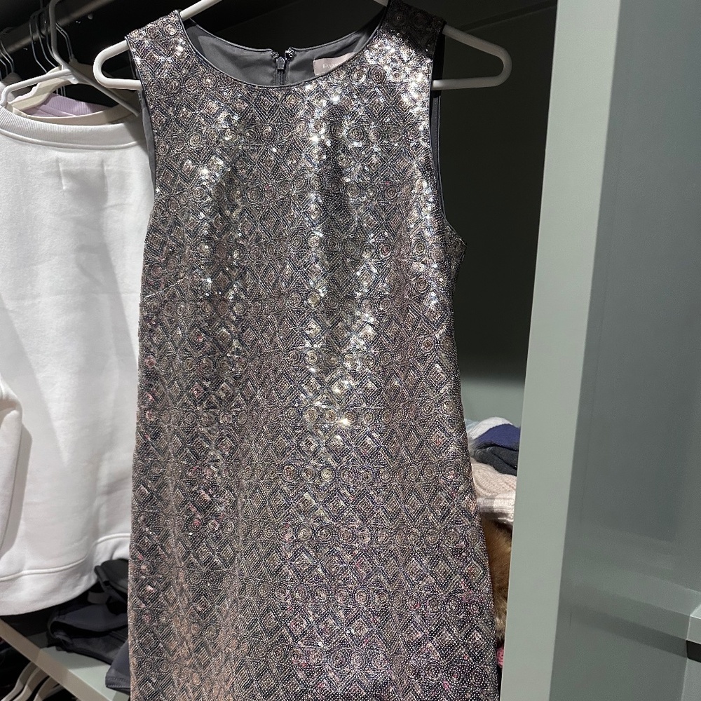 Banana Republic Sequins Dress